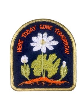 Embroidered Floral Dandelion Remembrance Embroidery Sew-On Patch